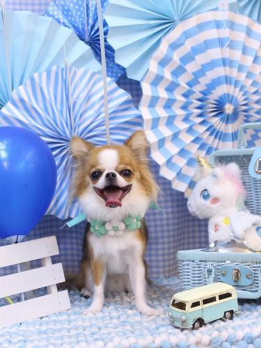 20231126プリューくん